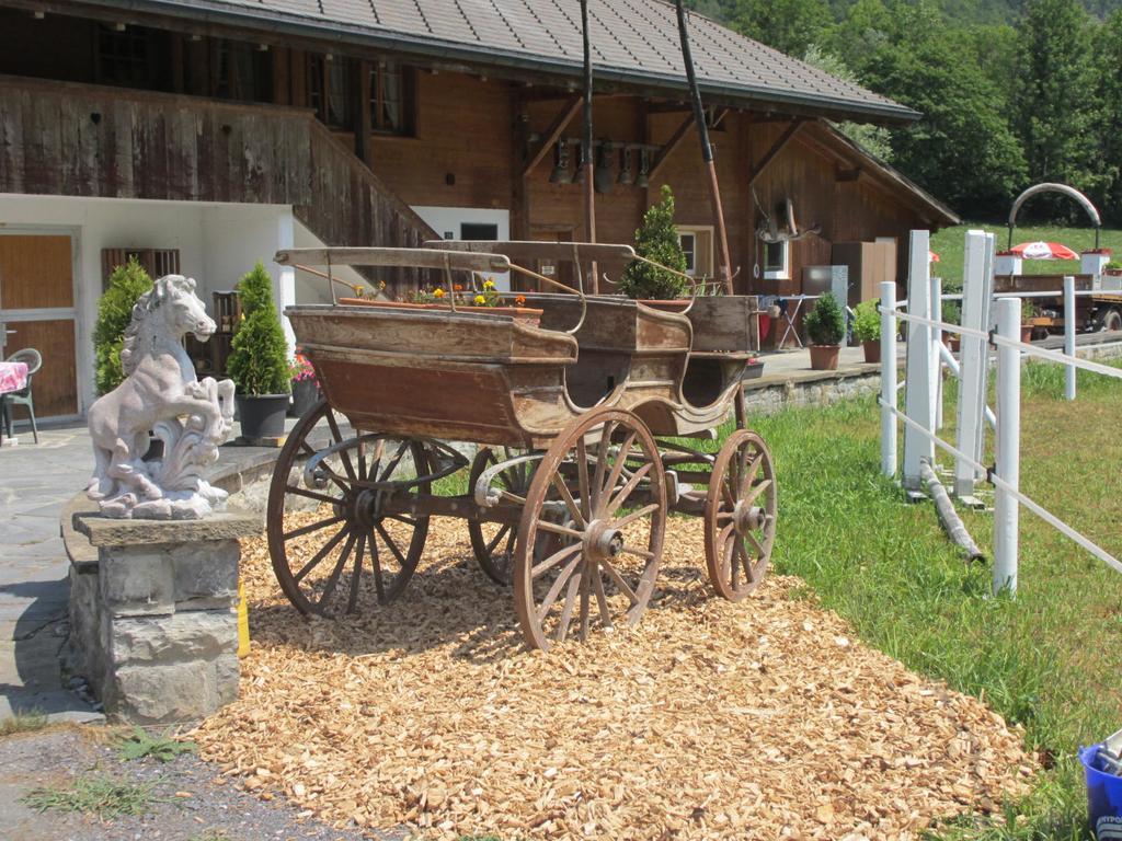 Eichhof Brienzwiler Berner Oberland Villa Exterior photo